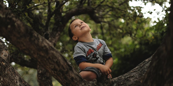 Karralyka Childrens Week child in tree