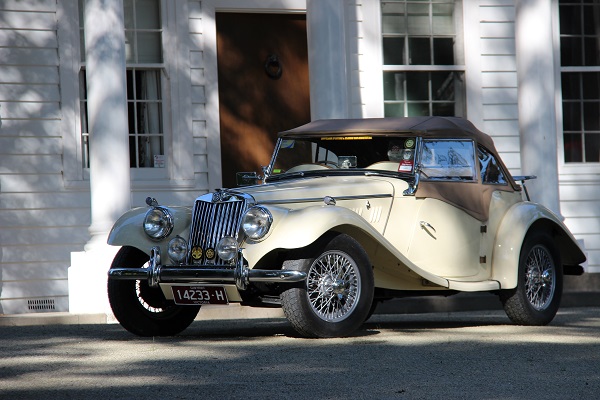 MG 1954 TF 600w