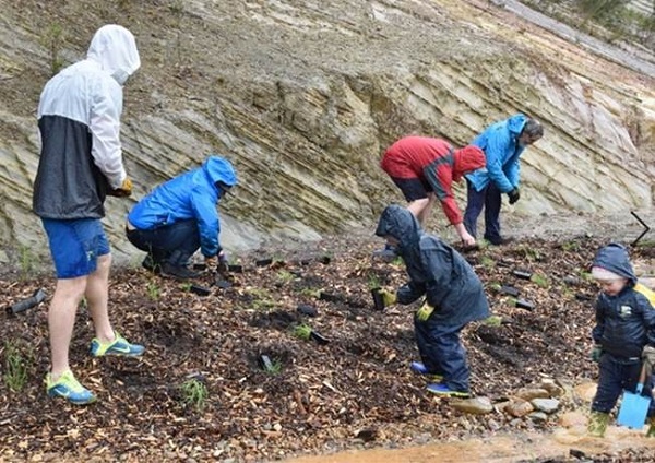 community planting day 3