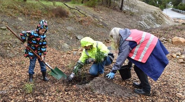 community planting day 4